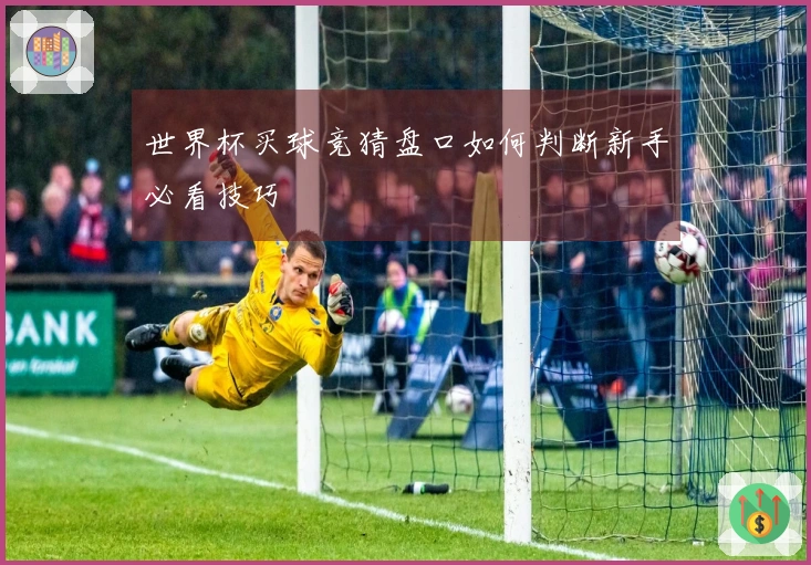 世界杯买球竞猜盘口如何判断新手必看技巧