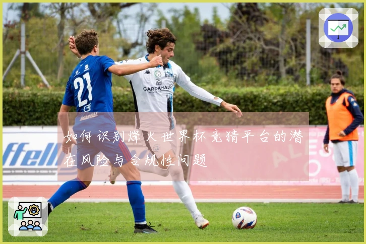 如何识别烽火世界杯竞猜平台的潜在风险与合规性问题