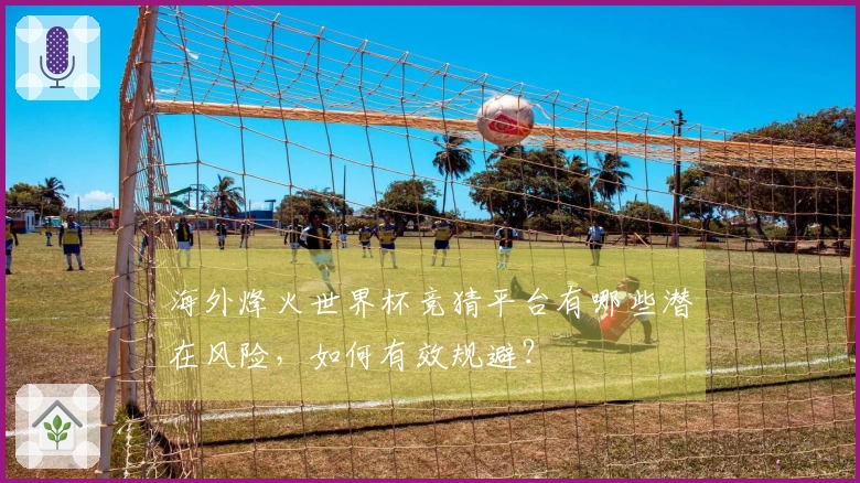 海外烽火世界杯竞猜平台有哪些潜在风险，如何有效规避？